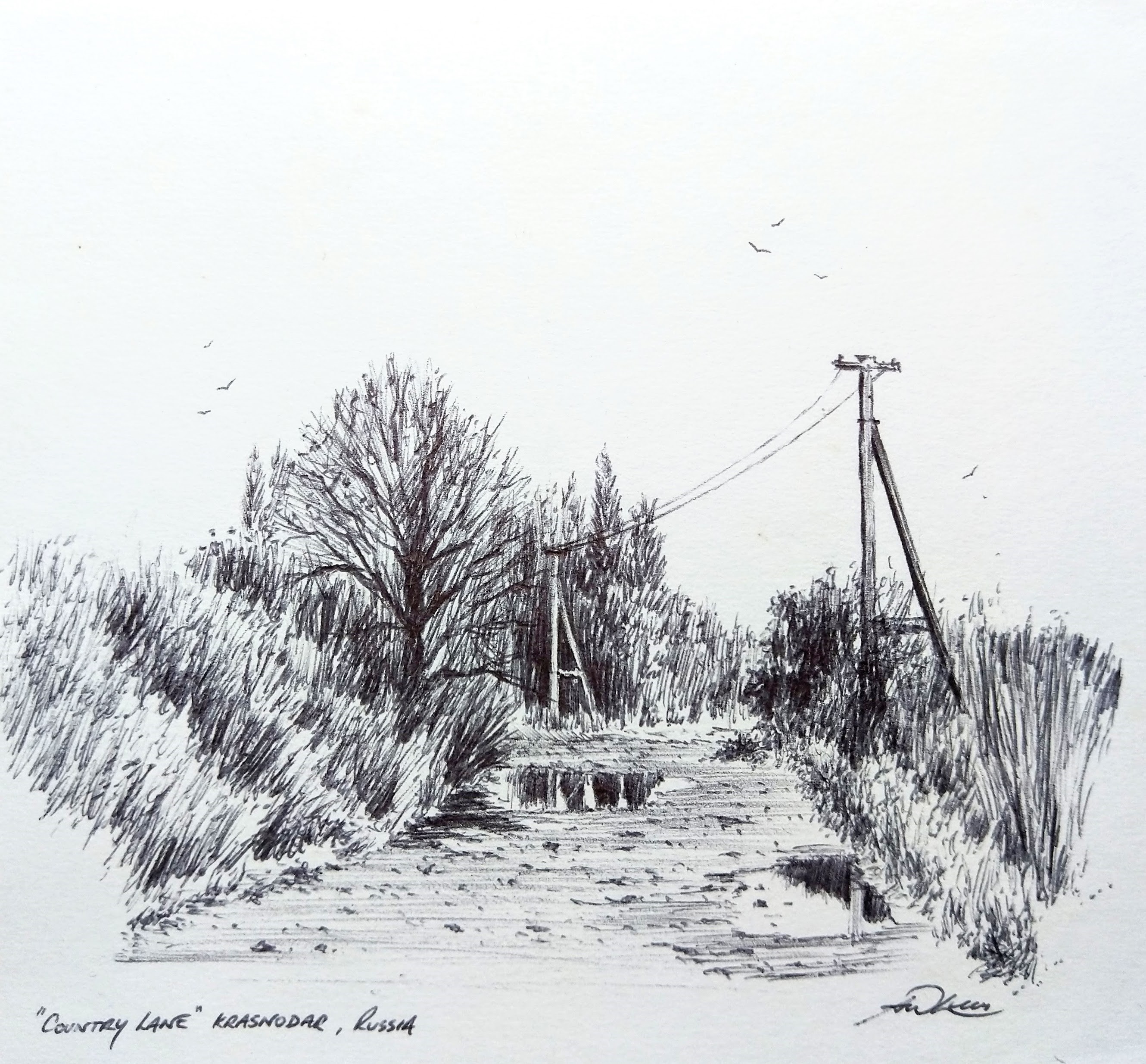 Country Lane sketch, Kraasnodar.1