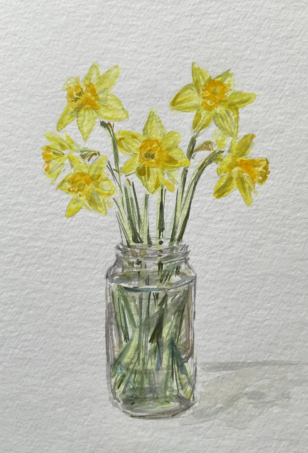Daffodils 2017 Daffodils 2017
