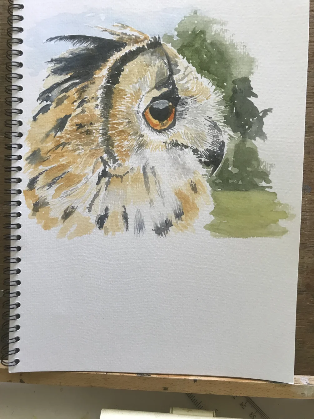 Dawns Owl Dawns Owl