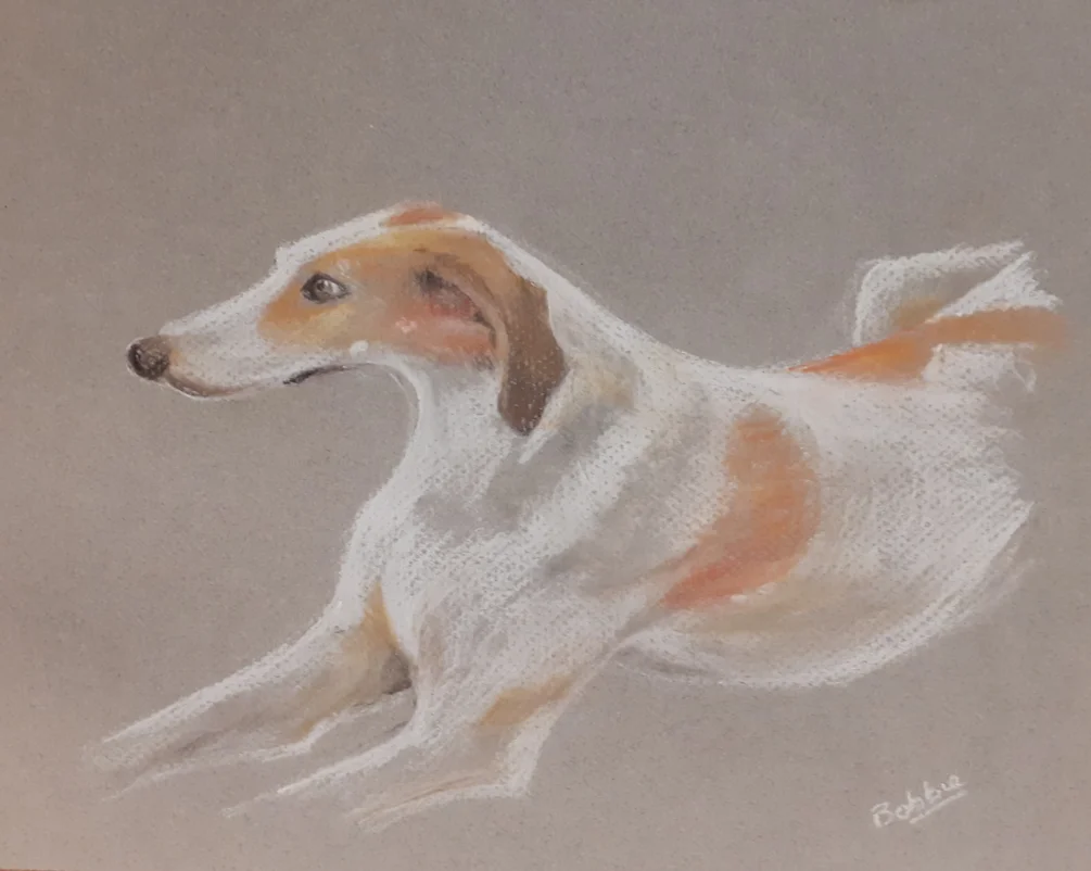 Dog Drawing - Dilys - Pastel Pencil on Grey Mi Tientes Paper - Nov 29th 2021 Dog Drawing - Dilys - Pastel Pencil on Grey Mi Tientes Paper - Nov 29th 2021