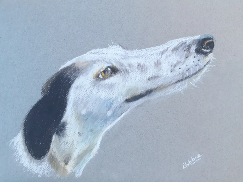 Dog Drawing - Tom - Pastel Pencils on Grey Mi Tientes Paper - Nov 18th 2021 Dog Drawing - Tom - Pastel Pencils on Grey Mi Tientes Paper - Nov 18th 2021