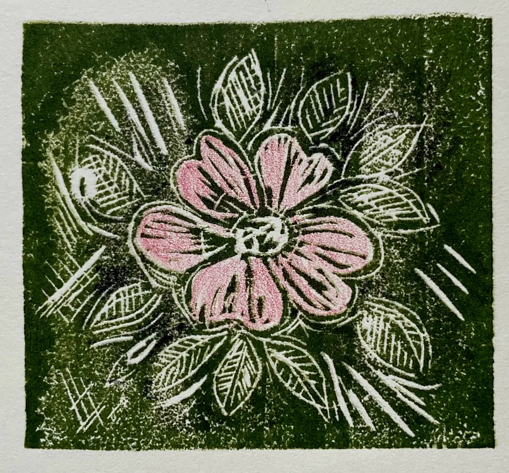 Dog rose Dog rose
