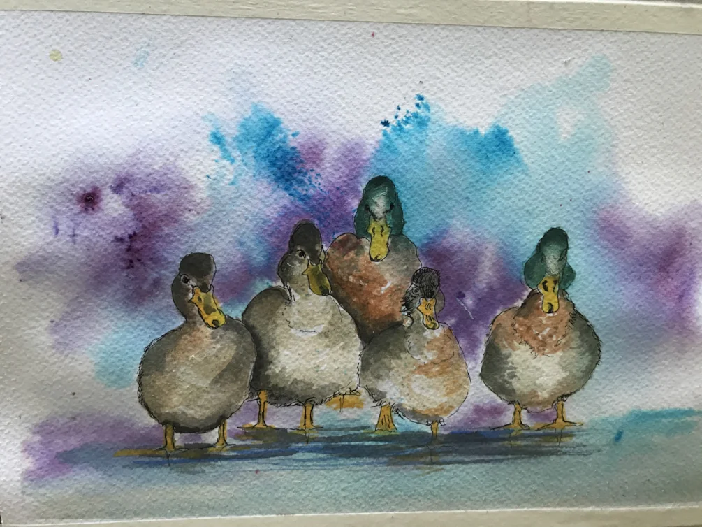 Ducks Ducks