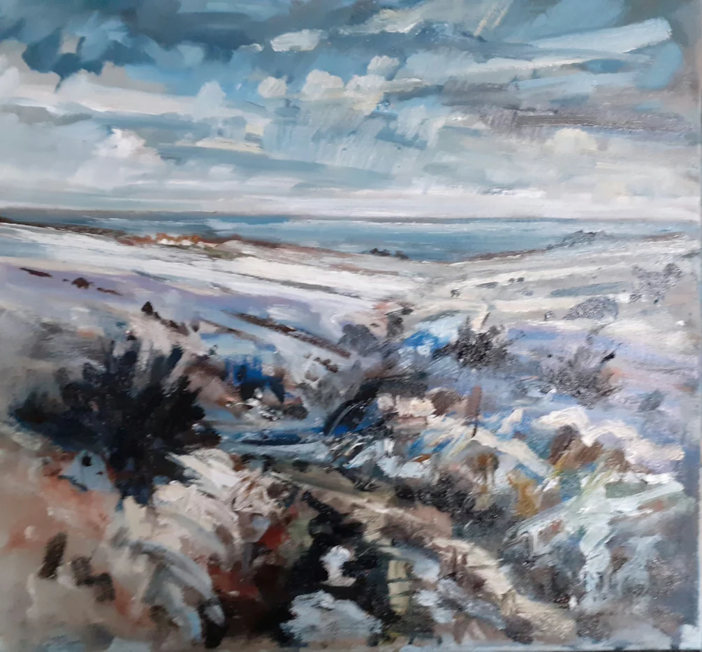 Durham Coast in Winter Durham Coast in Winter