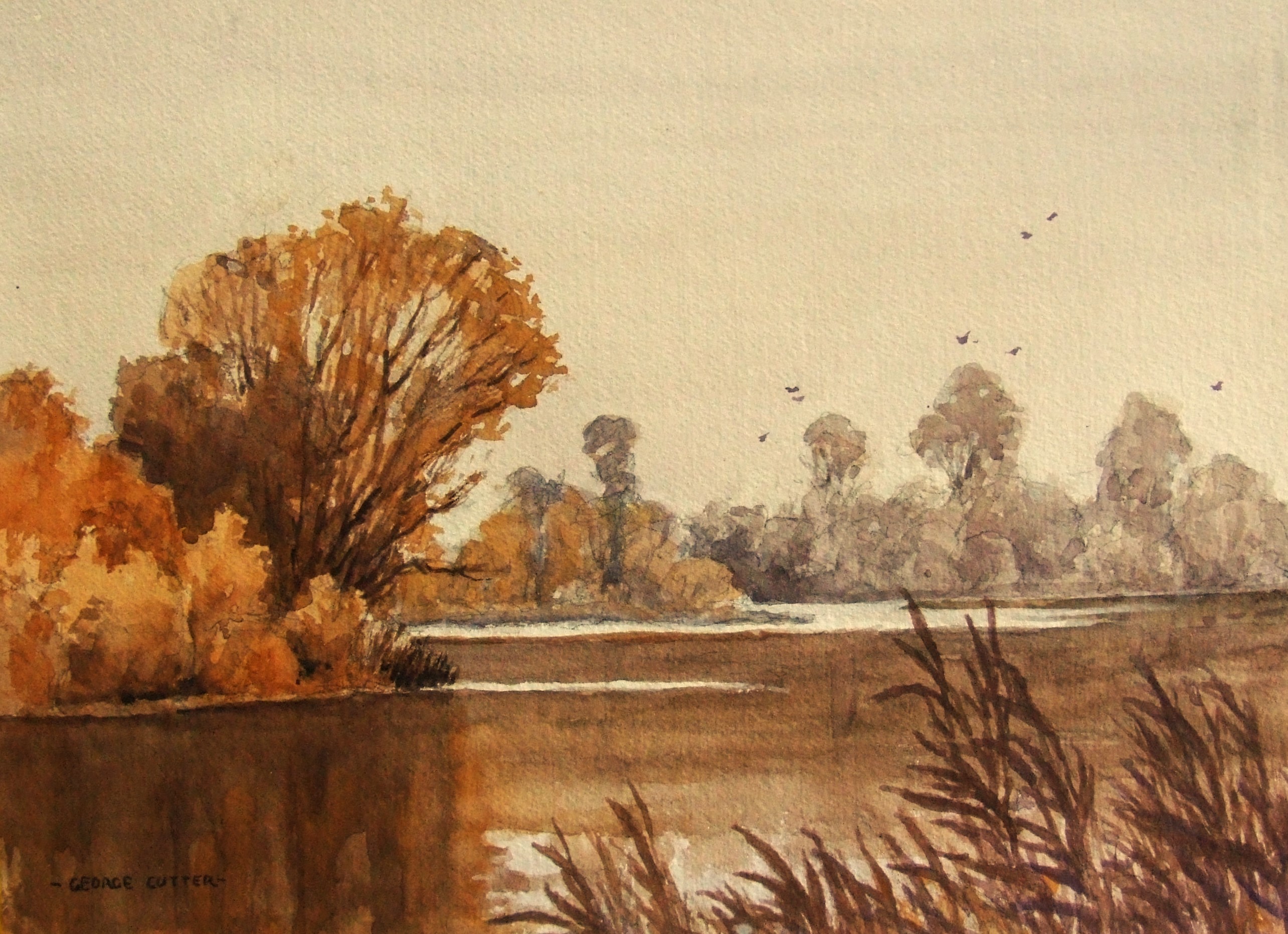 Emborough Pond BrownsWC