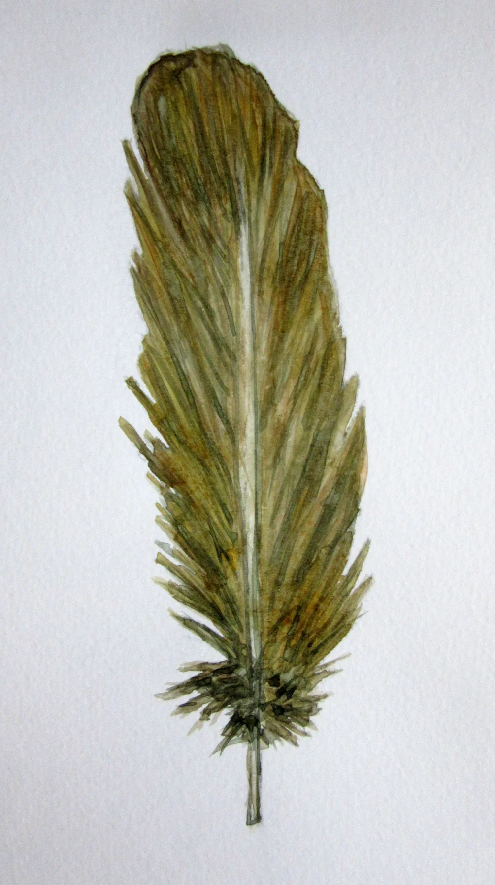 Feather Sketchbook MD200521 Feather Sketchbook MD200521