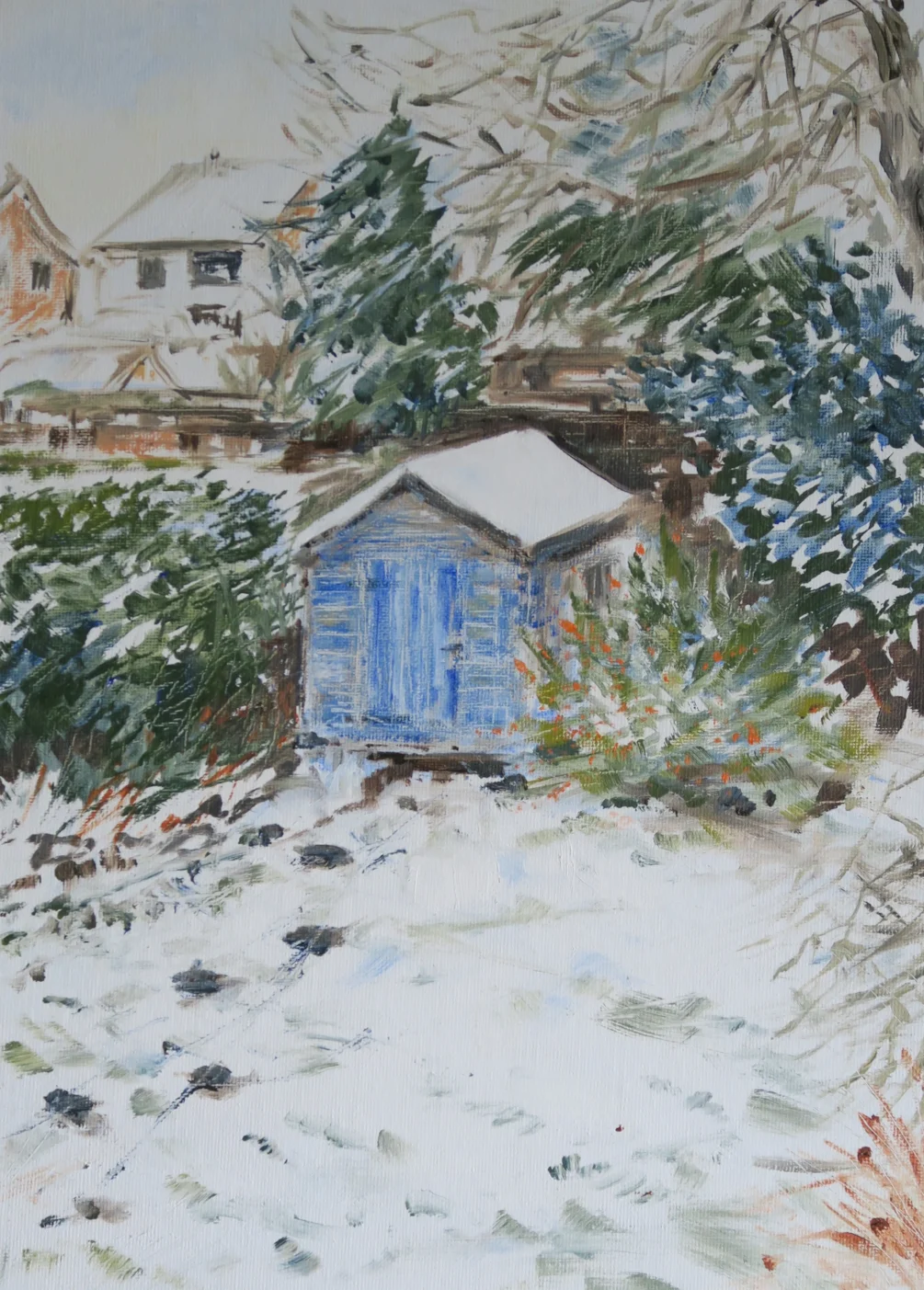 Garden in snow Garden in snow
