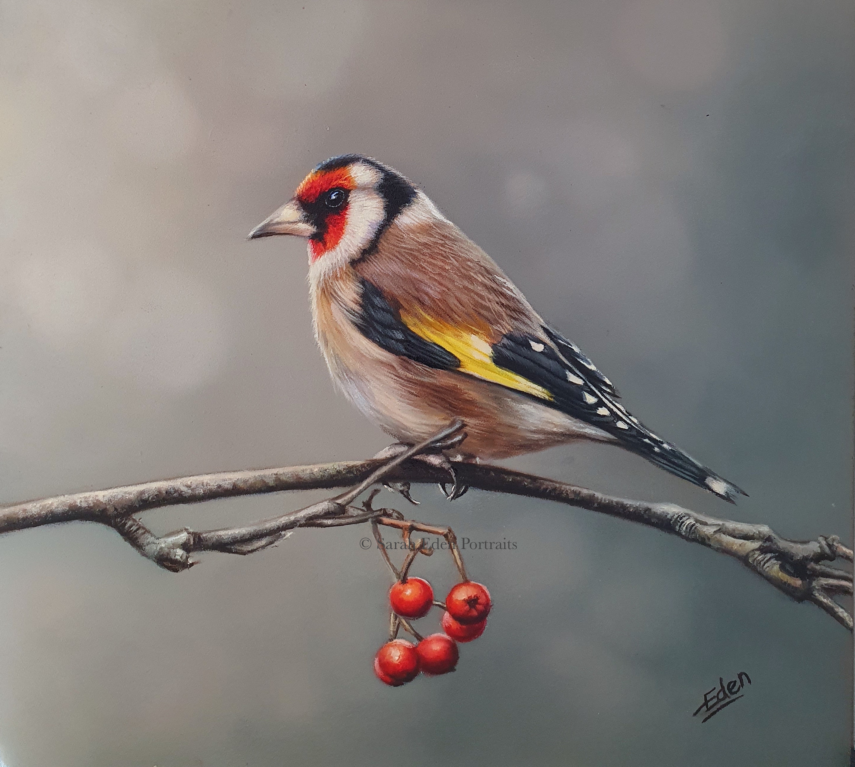 Goldfinch WM