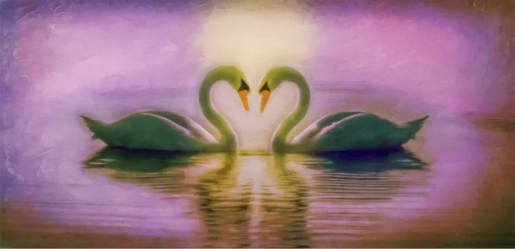 Graceful Symmetry Graceful Symmetry