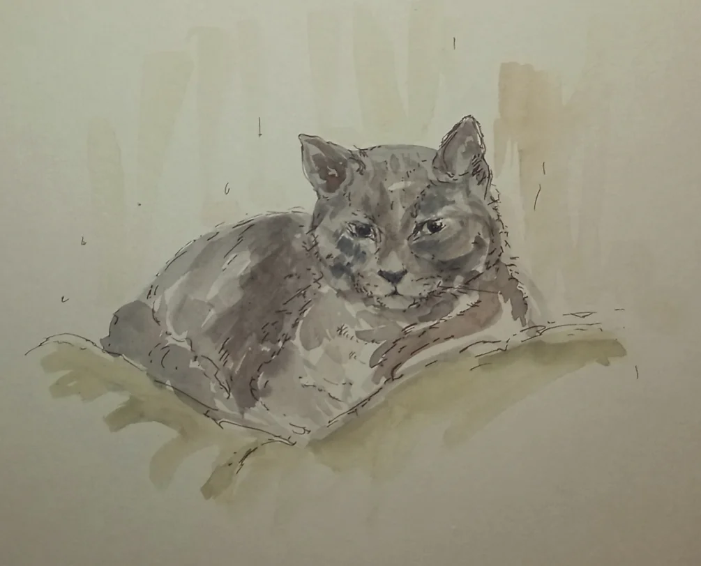 Greyie Greyie