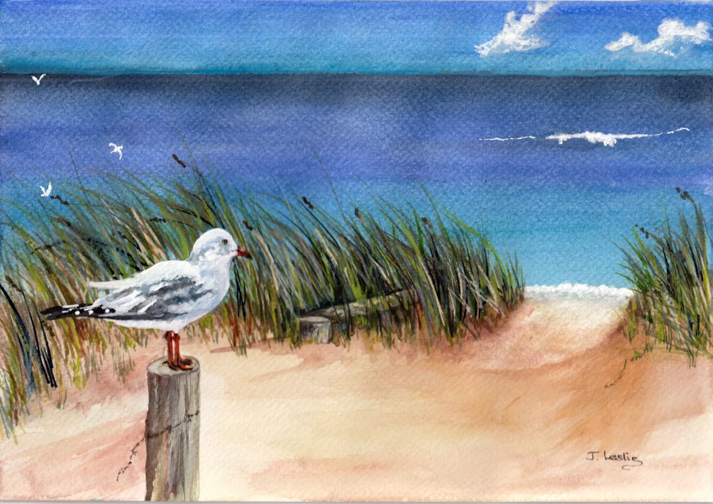 Gulls Gulls