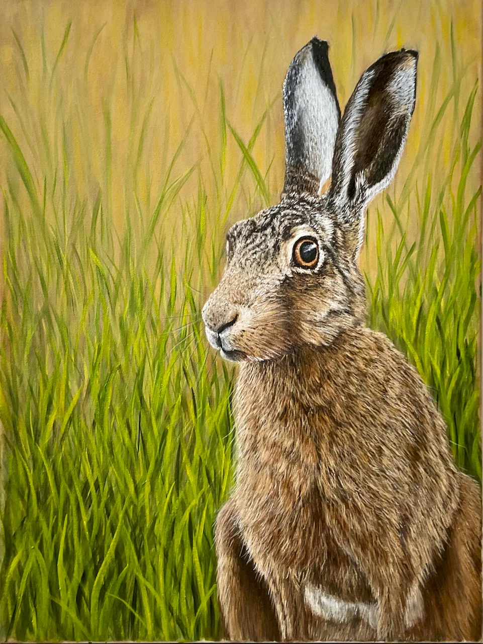 Hare2 Hare2