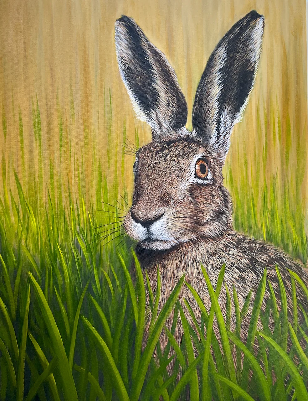 Hare No2 Hare No2