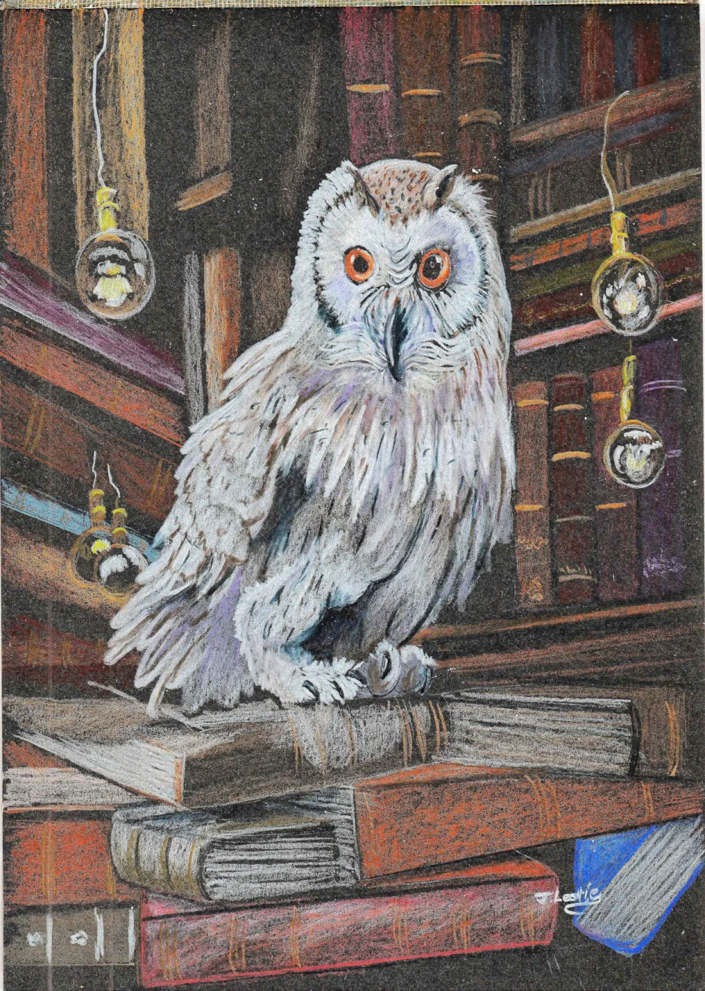 Hedwig Hedwig