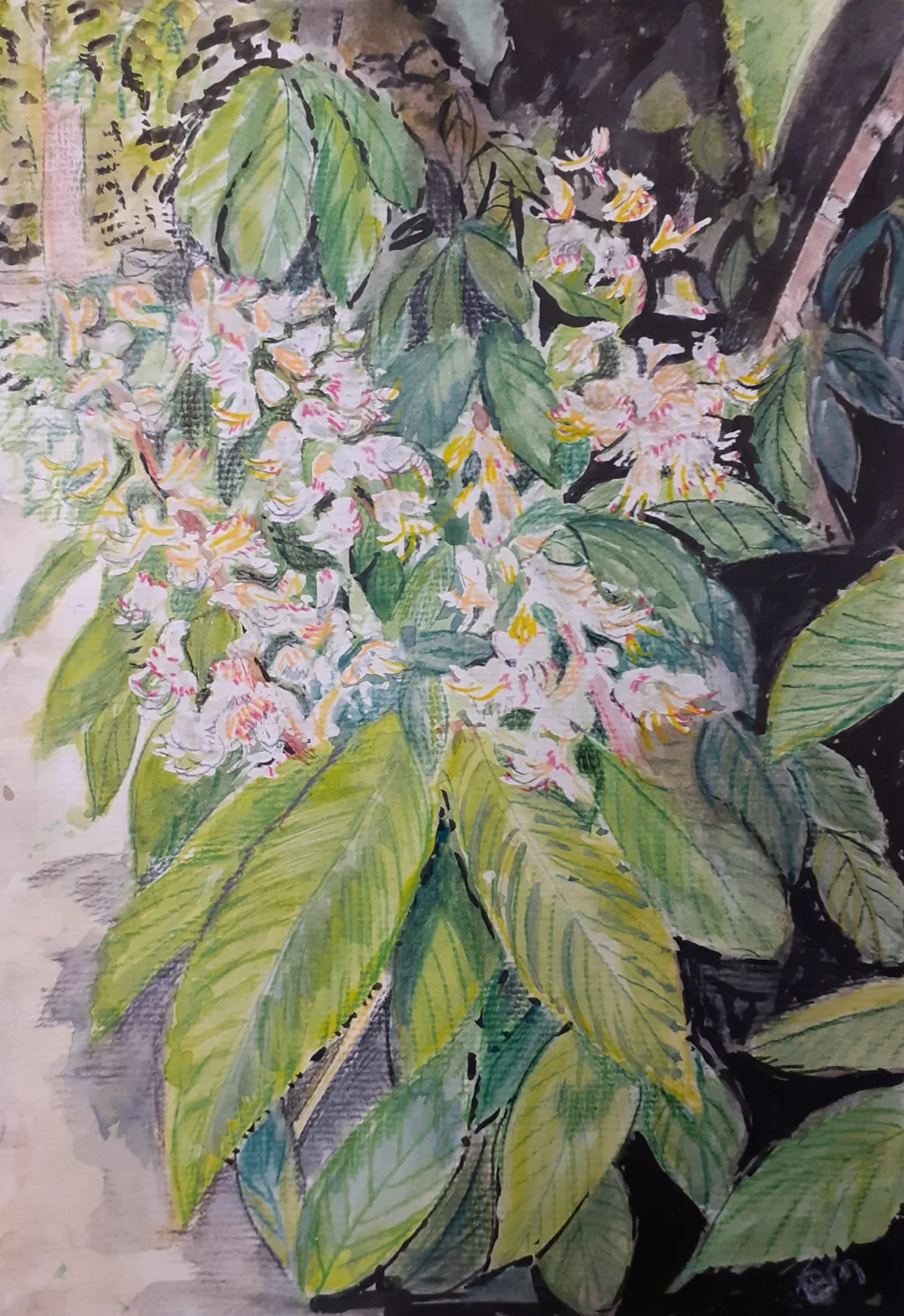 Horse Chestnut Flowers - Watercolour - April 8th 2021 Horse Chestnut Flowers - Watercolour - April 8th 2021