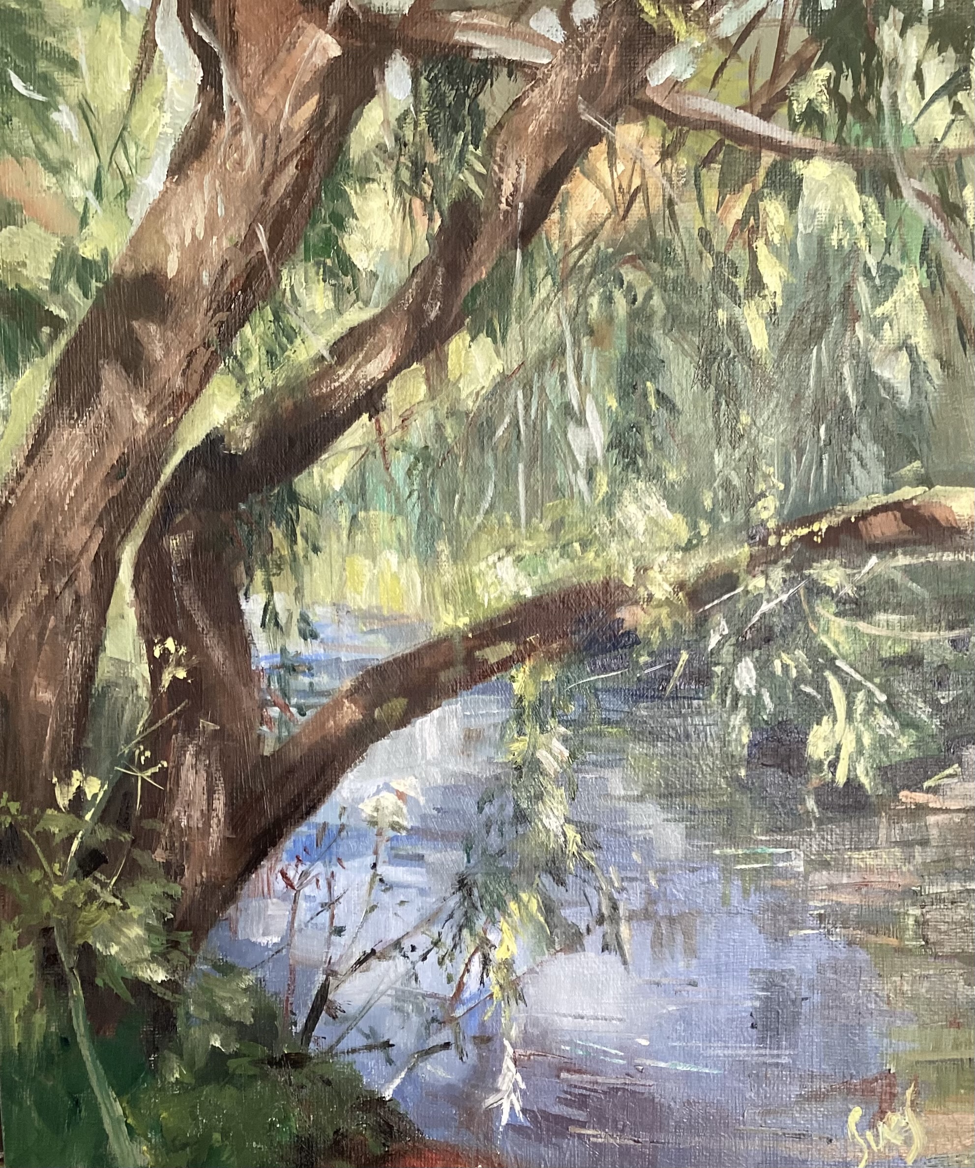 Along The River Allen By Sue Smith 18 October 2025 IMG 2240 1