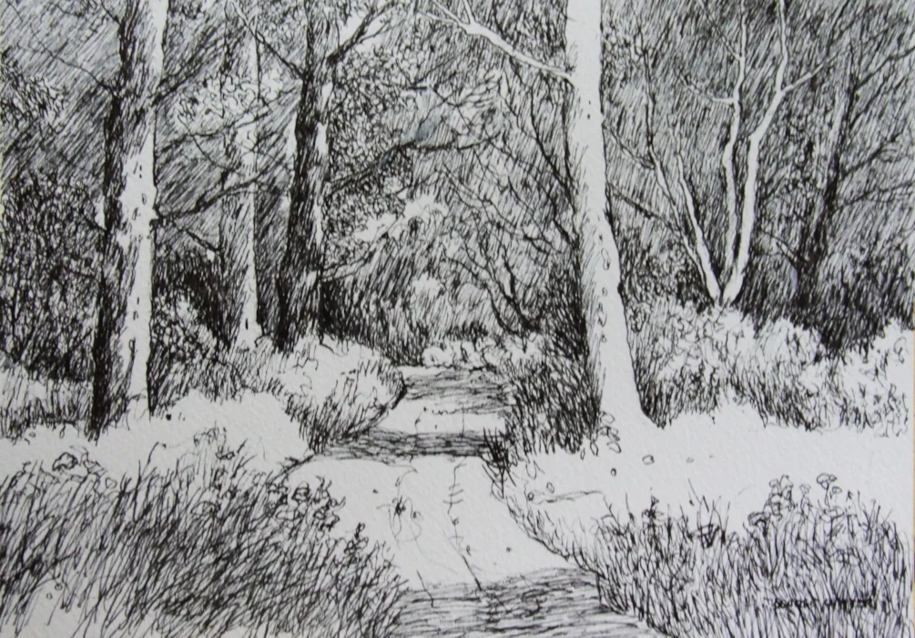 Ink drawing Leighton Moss Ink drawing Leighton Moss