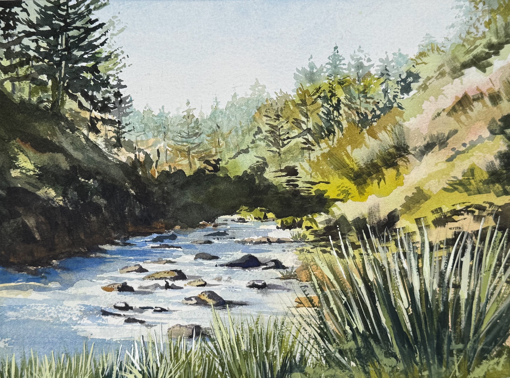 Karanghake Gorge , NZ