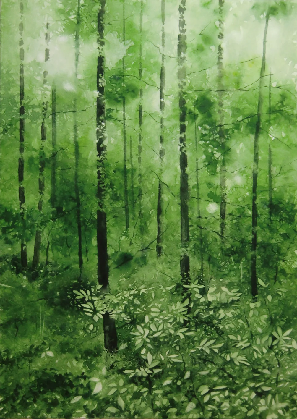 Kastanien und Akazien Kastanien und Akazien