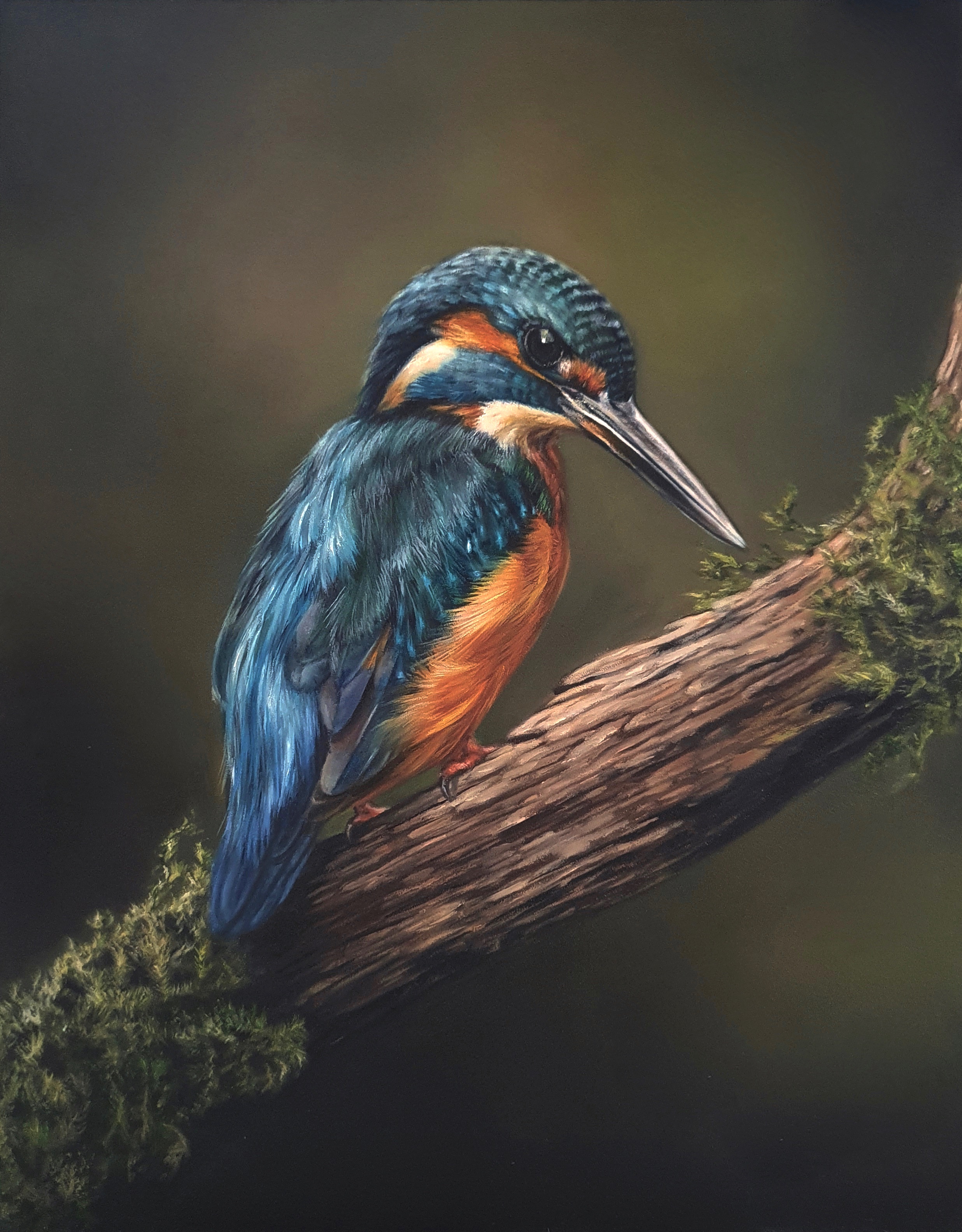 Kingfisher No WM copy