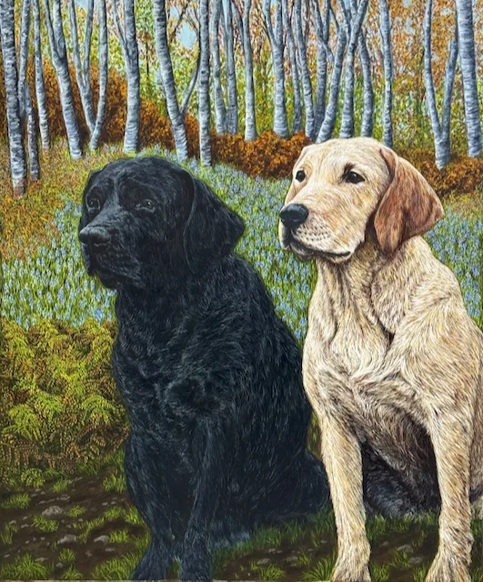 Labs Labs
