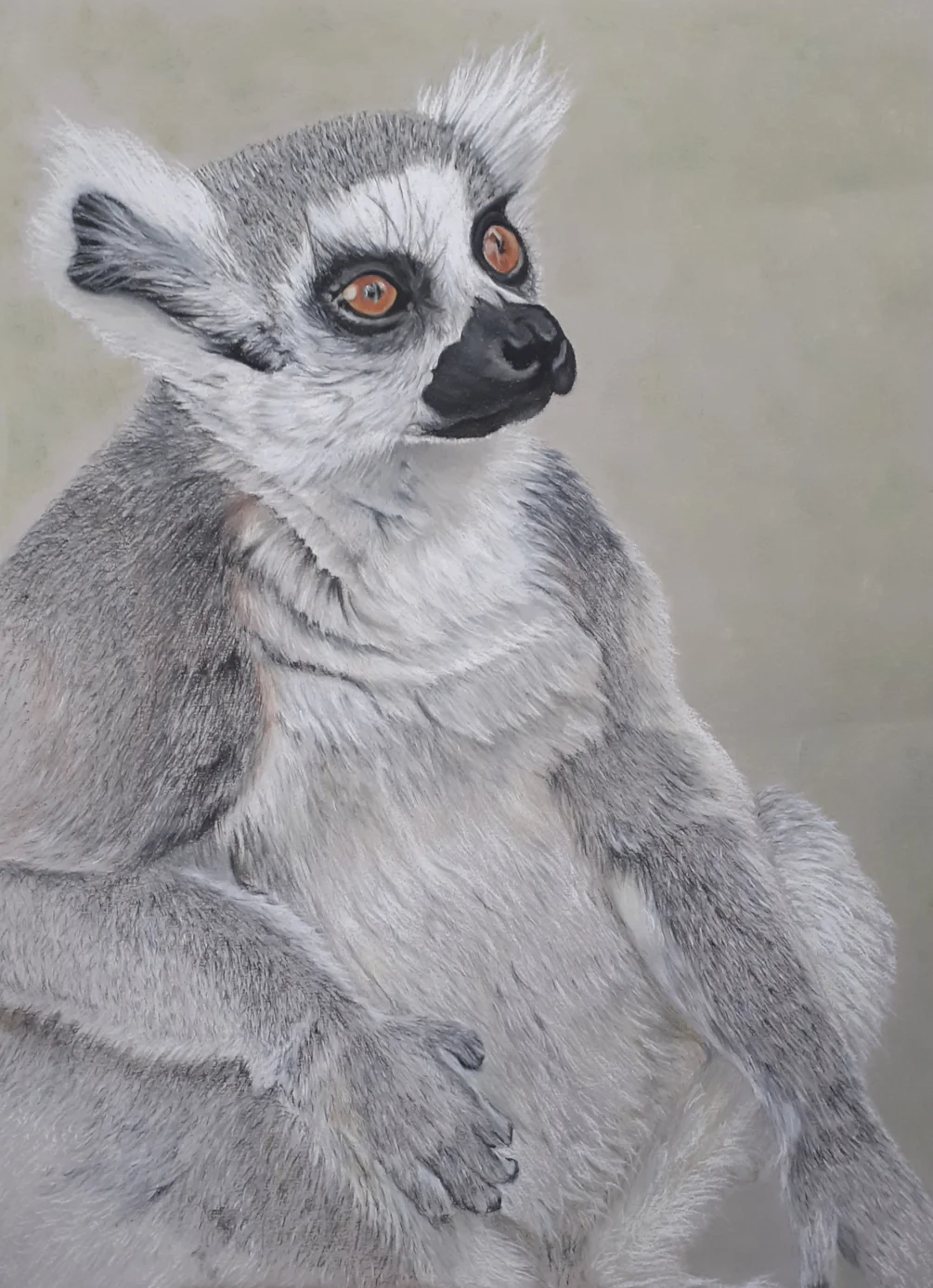 Lemur Lemur
