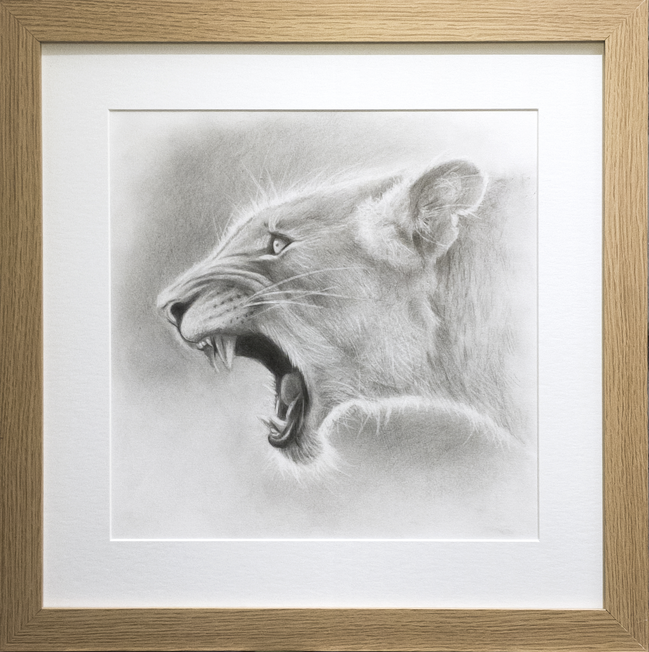 Lion framed copy