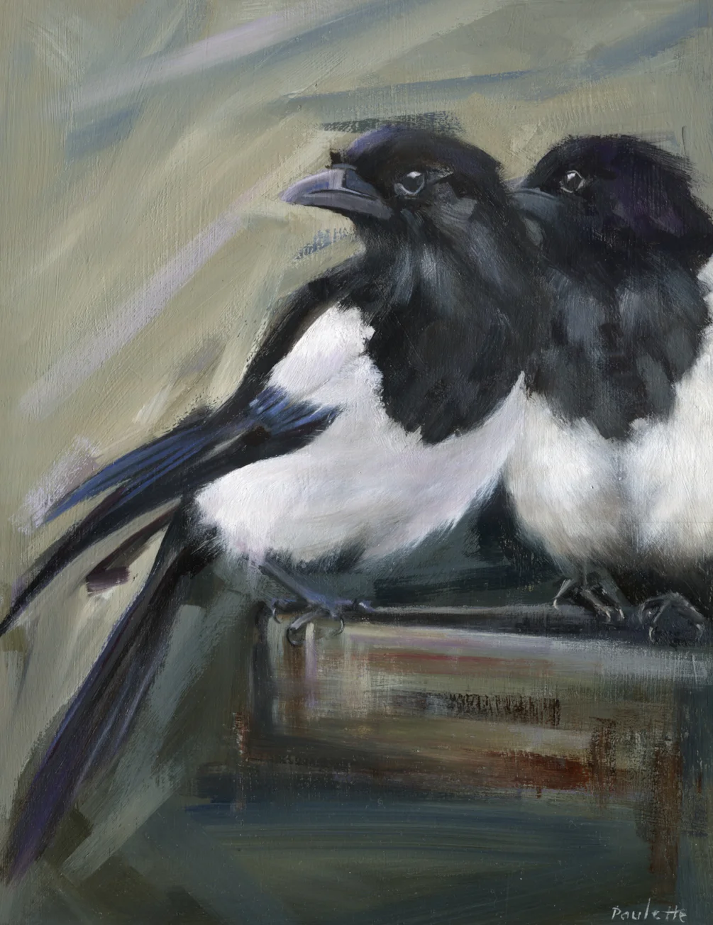 Magpie Watch (2) Magpie Watch (2)