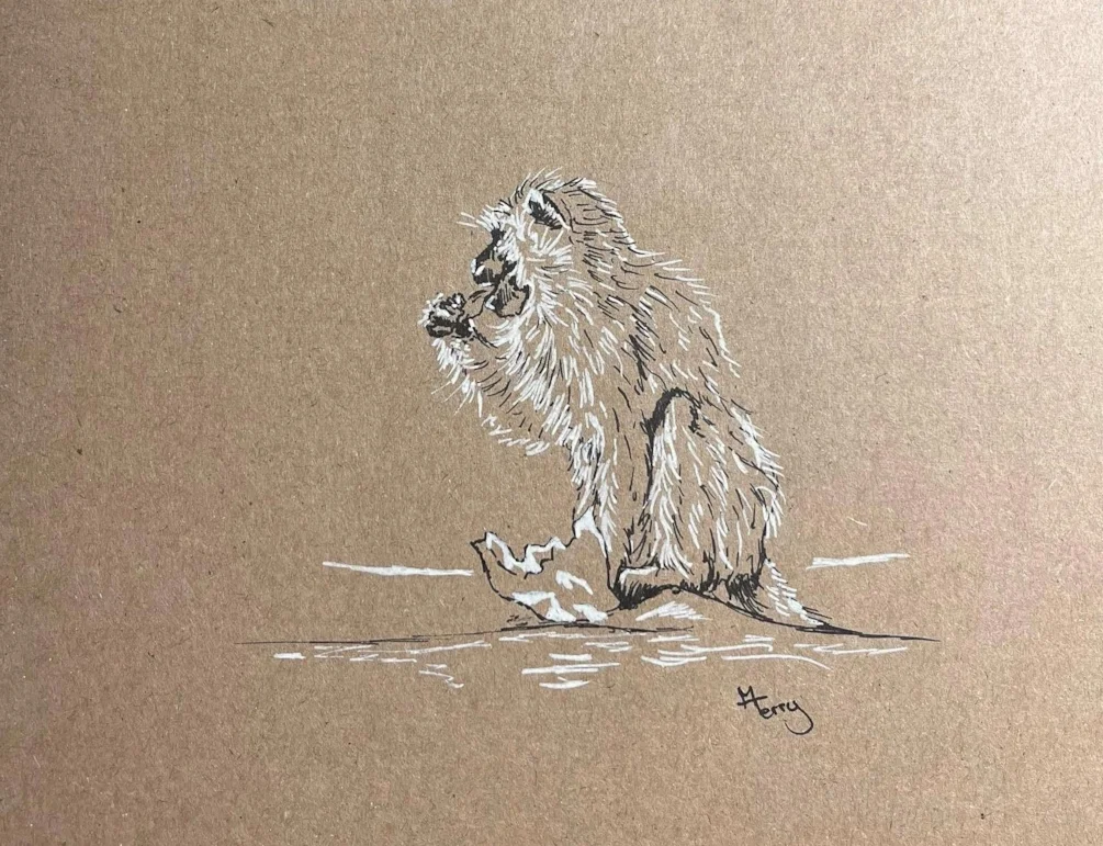 Monkey Monkey