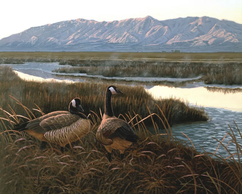 Morning Glow, 24 x 30, oil on canvas, 1991, 960x1200 Morning Glow, 24 x 30, oil on canvas, 1991, 960x1200