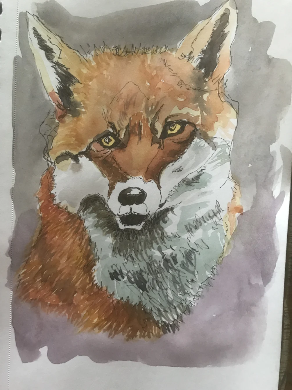 Mr fox Mr fox