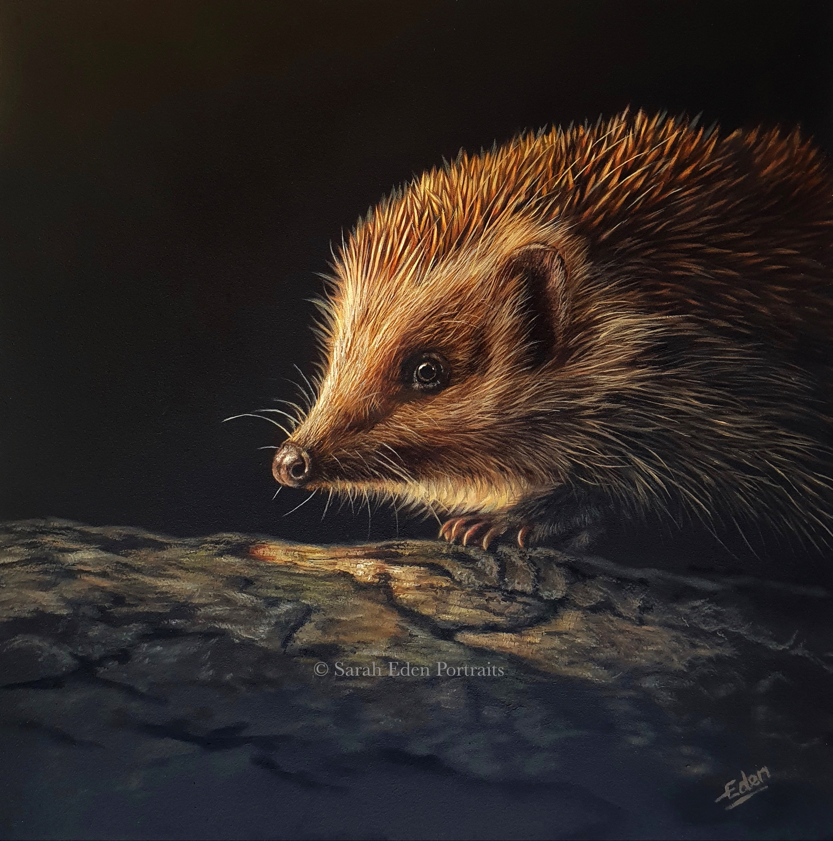 Nighttime Visitor WM