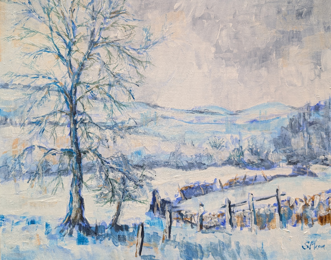 PXL_20250106_145032533 (002)