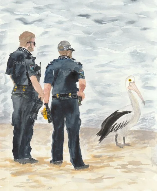 Police arrest pelican for illegal fishing Police arrest pelican for illegal fishing