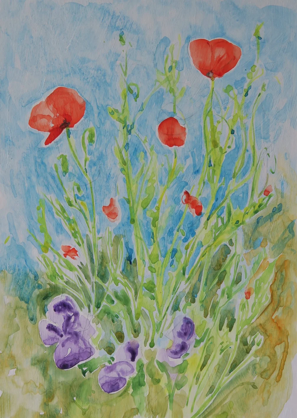 Poppies and pansie Poppies and pansie