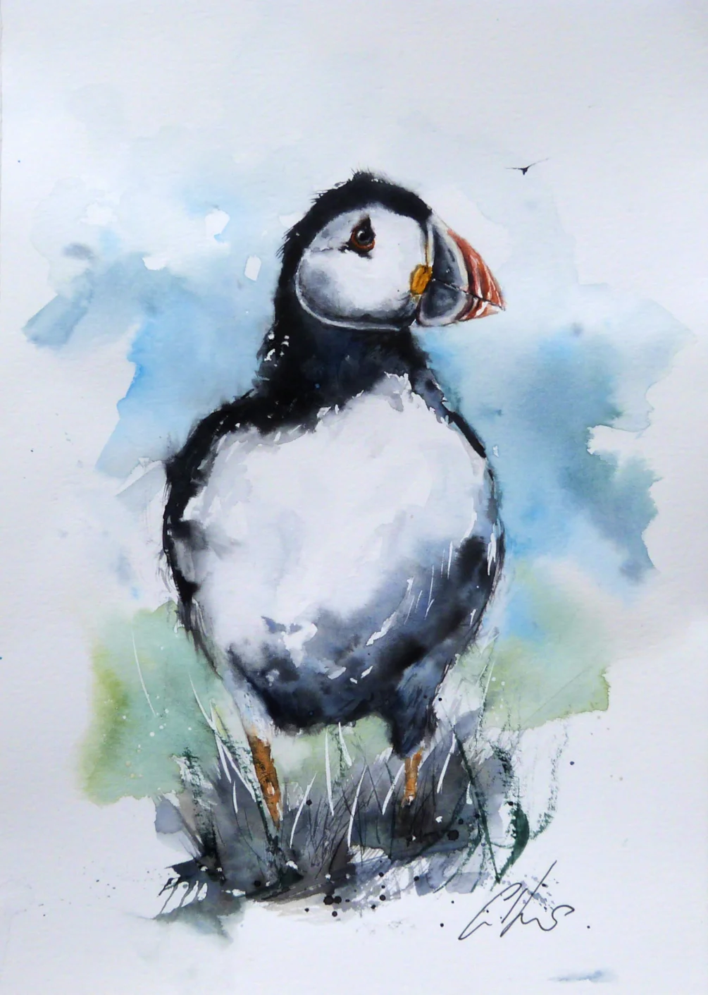 Puffin, watercolour by Graham Kemp. (2) Puffin, watercolour by Graham Kemp. (2)