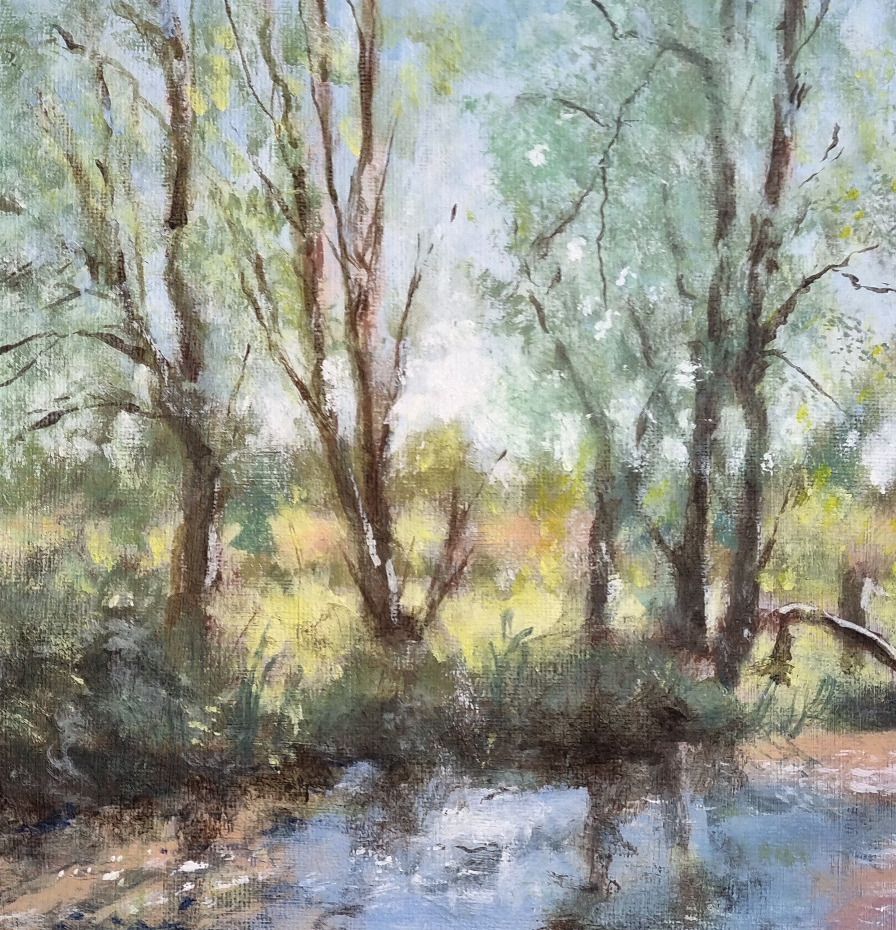 River bank with trees