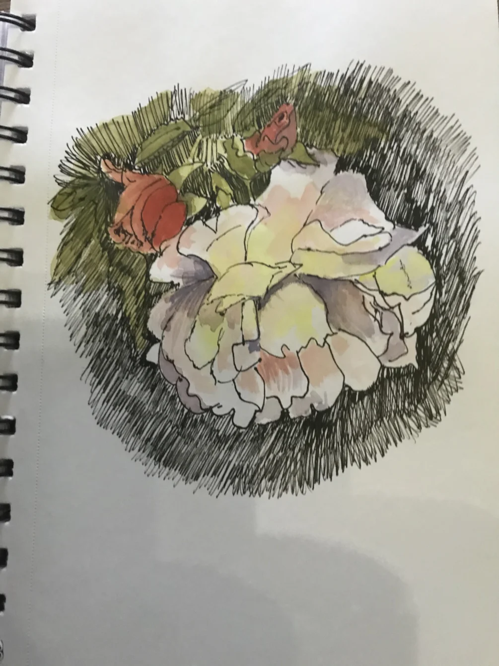 Roses Roses