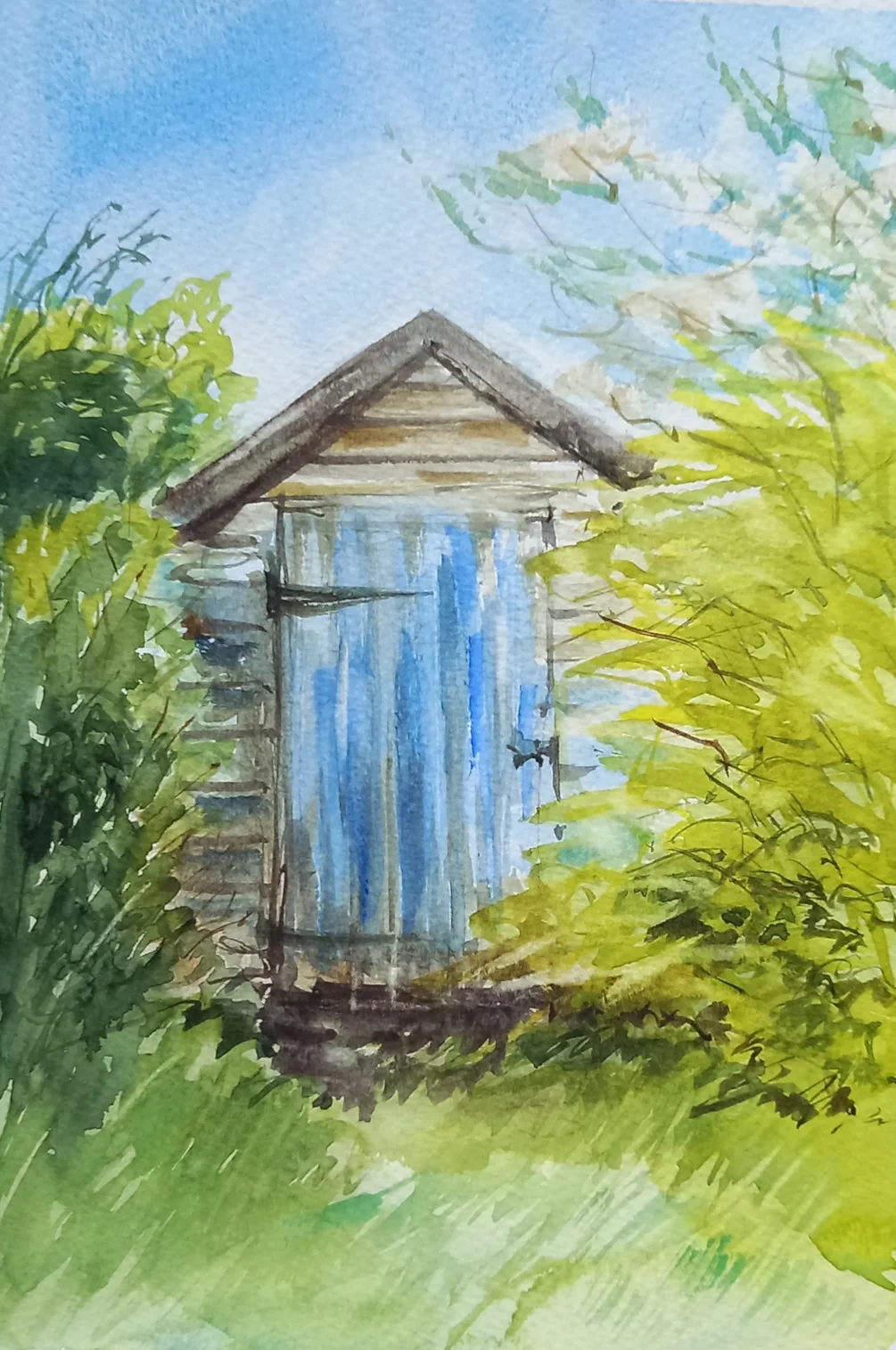 Shed Shed