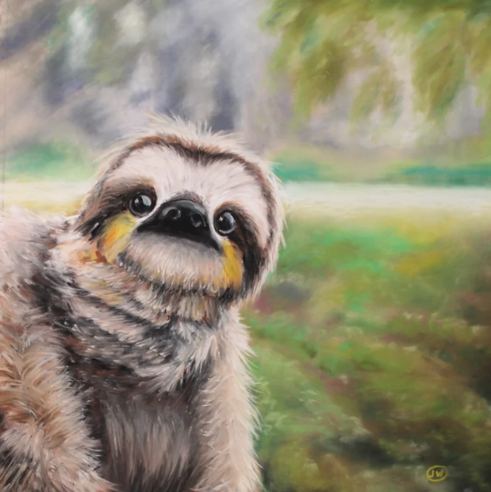 Sloth Sloth