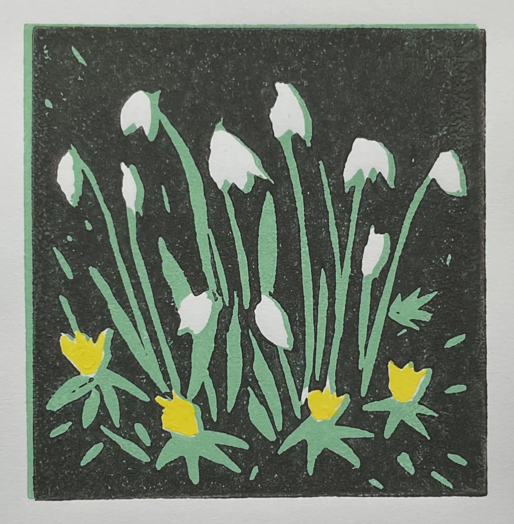 Snowdrops Snowdrops