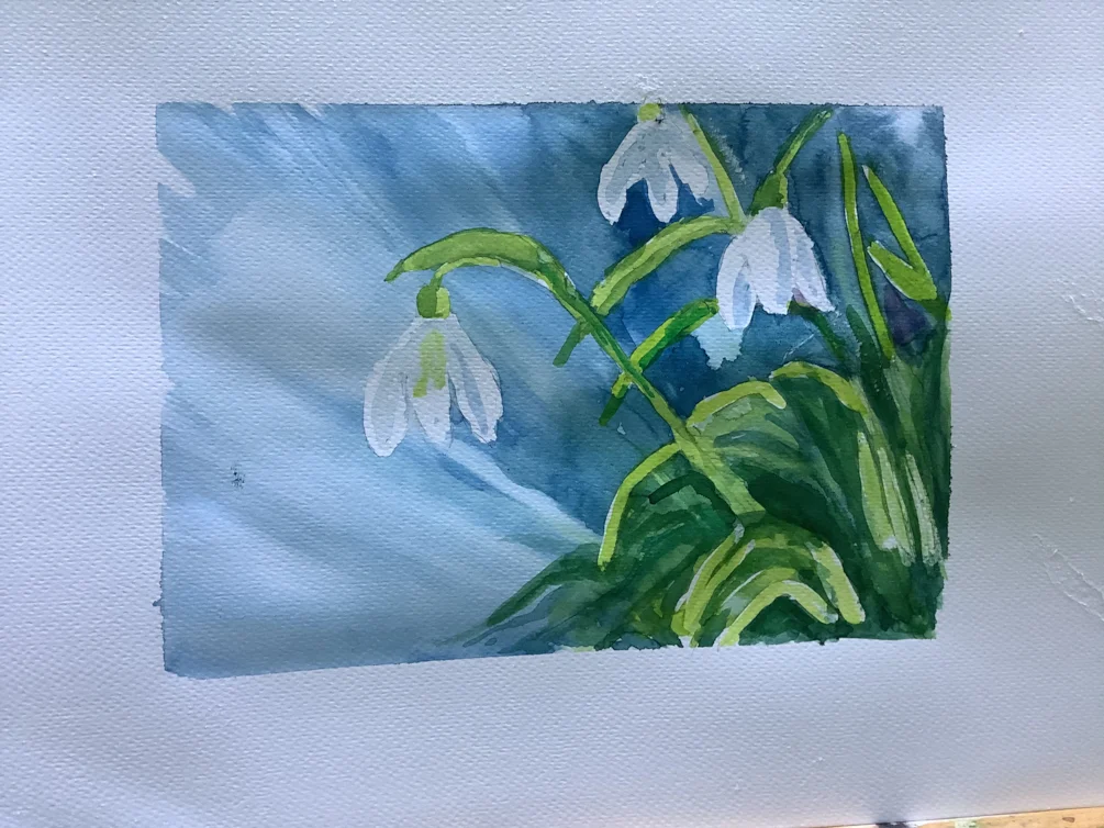 Snow drops 2 Snow drops 2