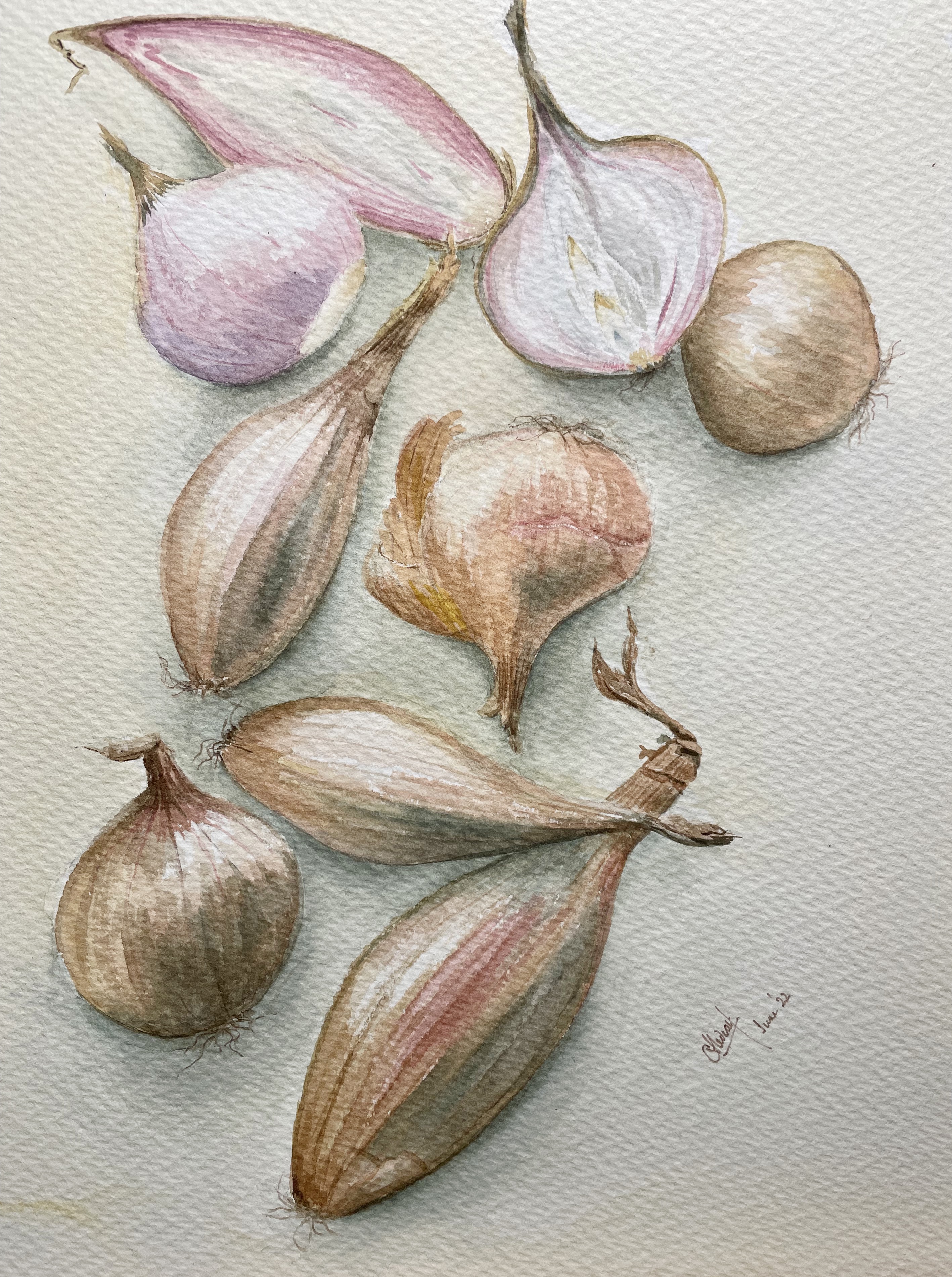 Still life with shallots