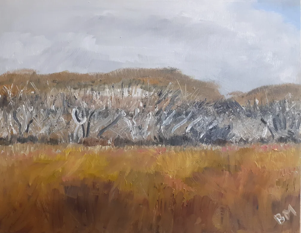 Stunted Trees - Lizard Downs, oil on board, 28-4-2024 Stunted Trees - Lizard Downs, oil on board, 28-4-2024