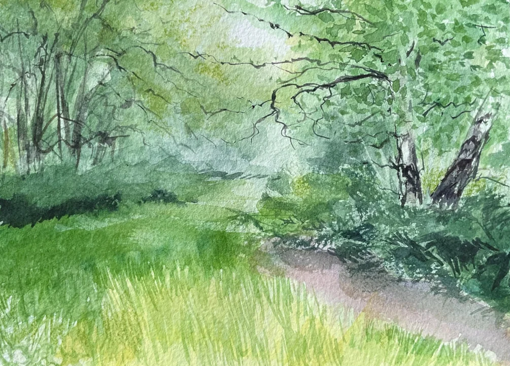 Summer glade Summer glade
