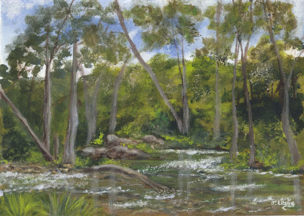Tallebudgera Creek Tallebudgera Creek
