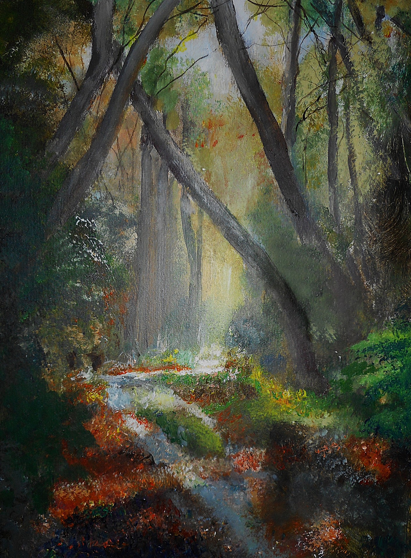 The Light in the Forest-6(2)