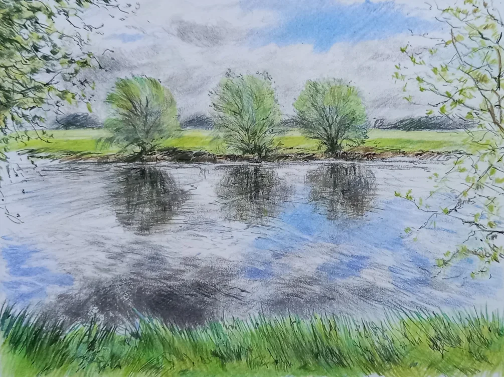 Three willows3 Three willows3