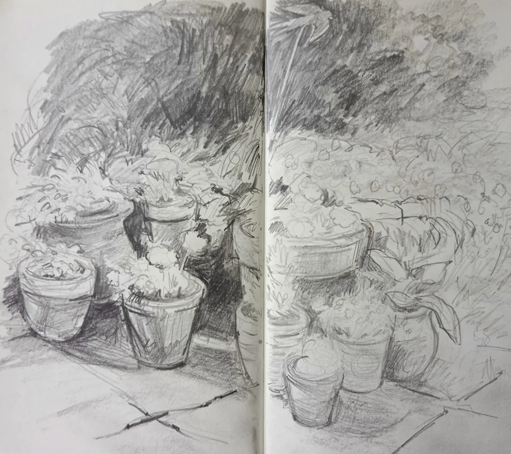 Tonal garden Tonal garden
