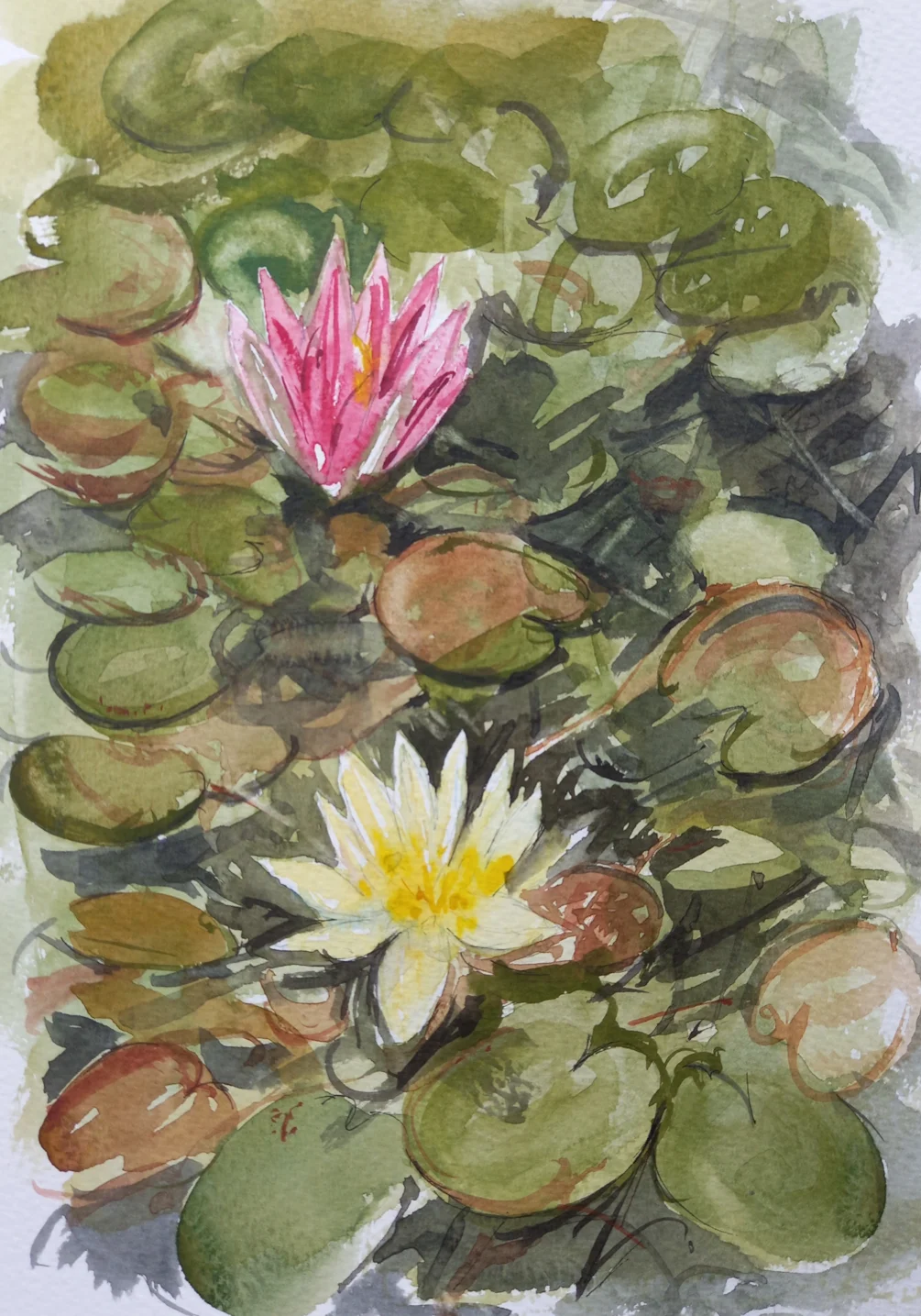 Water lilies 2 Water lilies 2